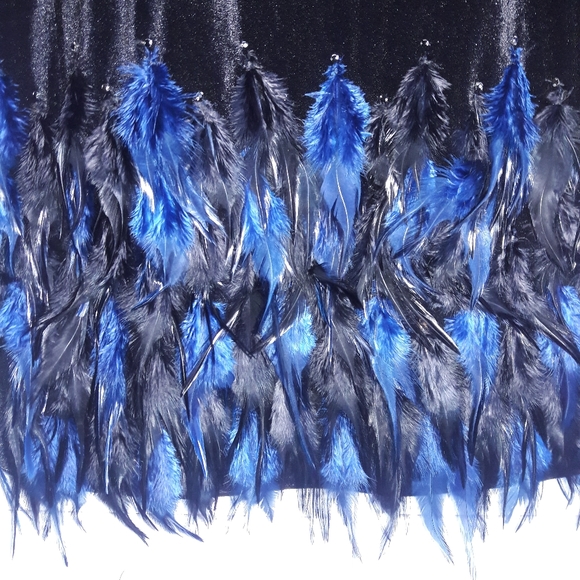 NWT, TahariASL Velvet Feather Dress
